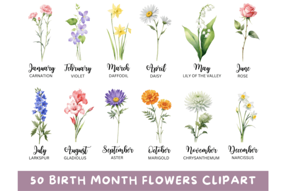 50 Watercolor Birth Month Flowers PNG: A Fresh Illustration Set for Lifestyle and Editorial Design