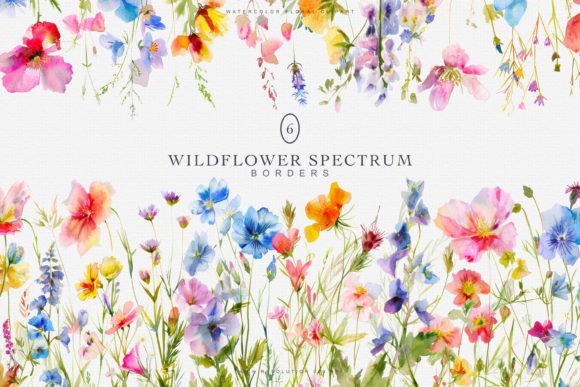 Watercolor Colorful Wildflowers Borders Illustrations