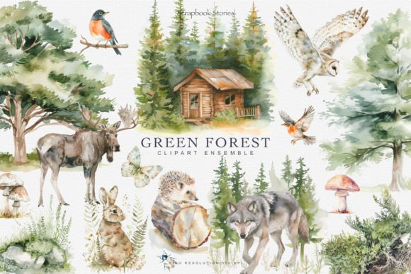 Watercolor Green Forest Illustrations for Blog & Editorial Design
