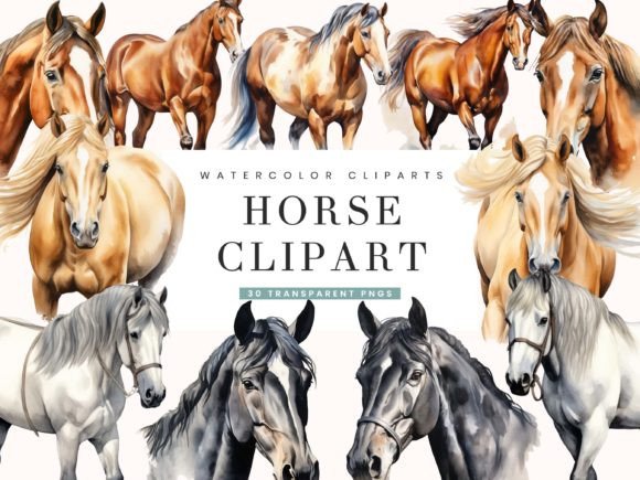 Watercolor Horse Clipart Bundle: Illustrations Review